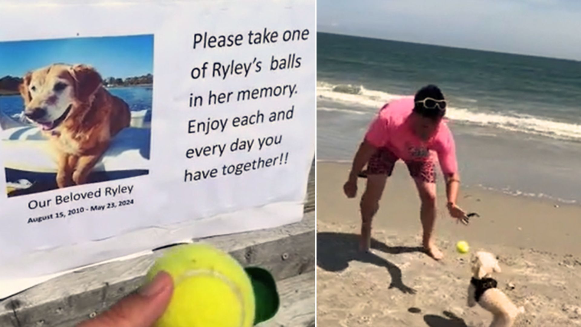 The Sign Next To A Beach Toy Box Is The Reason Why The Whole Internet Community Sobs