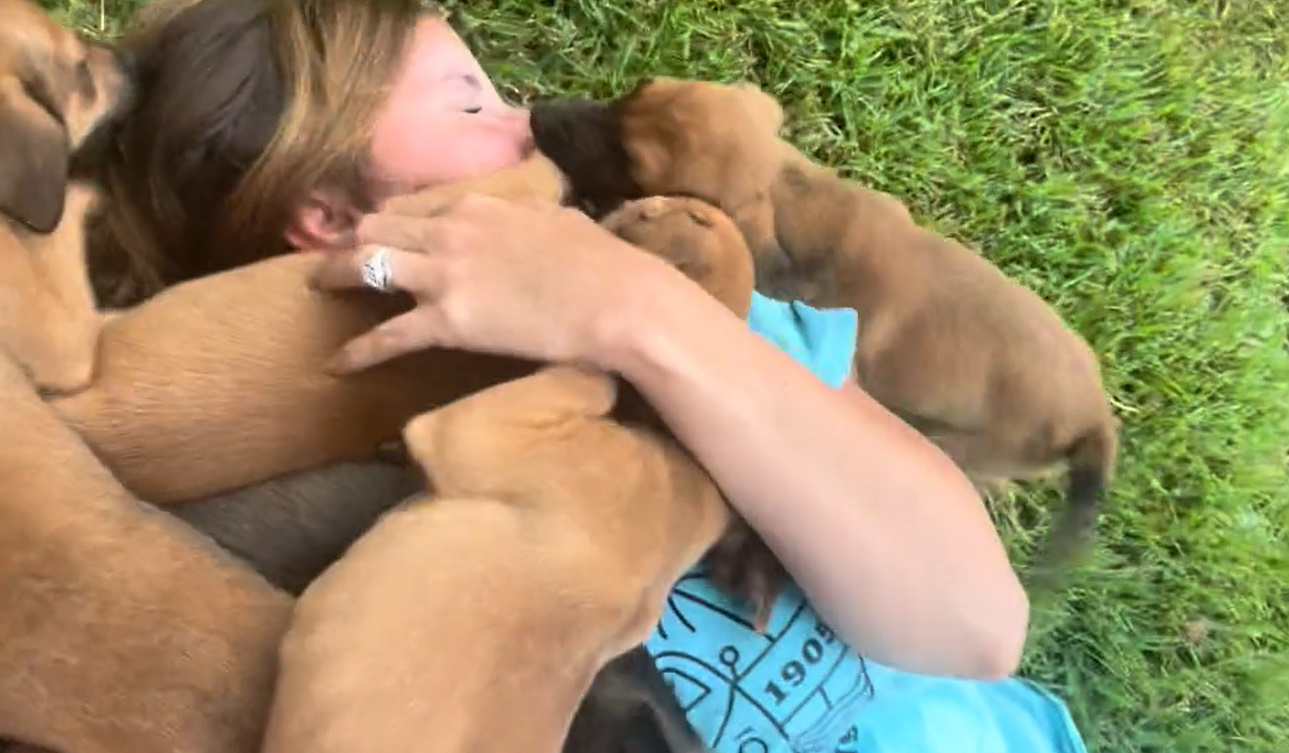 very happy woman and puppies