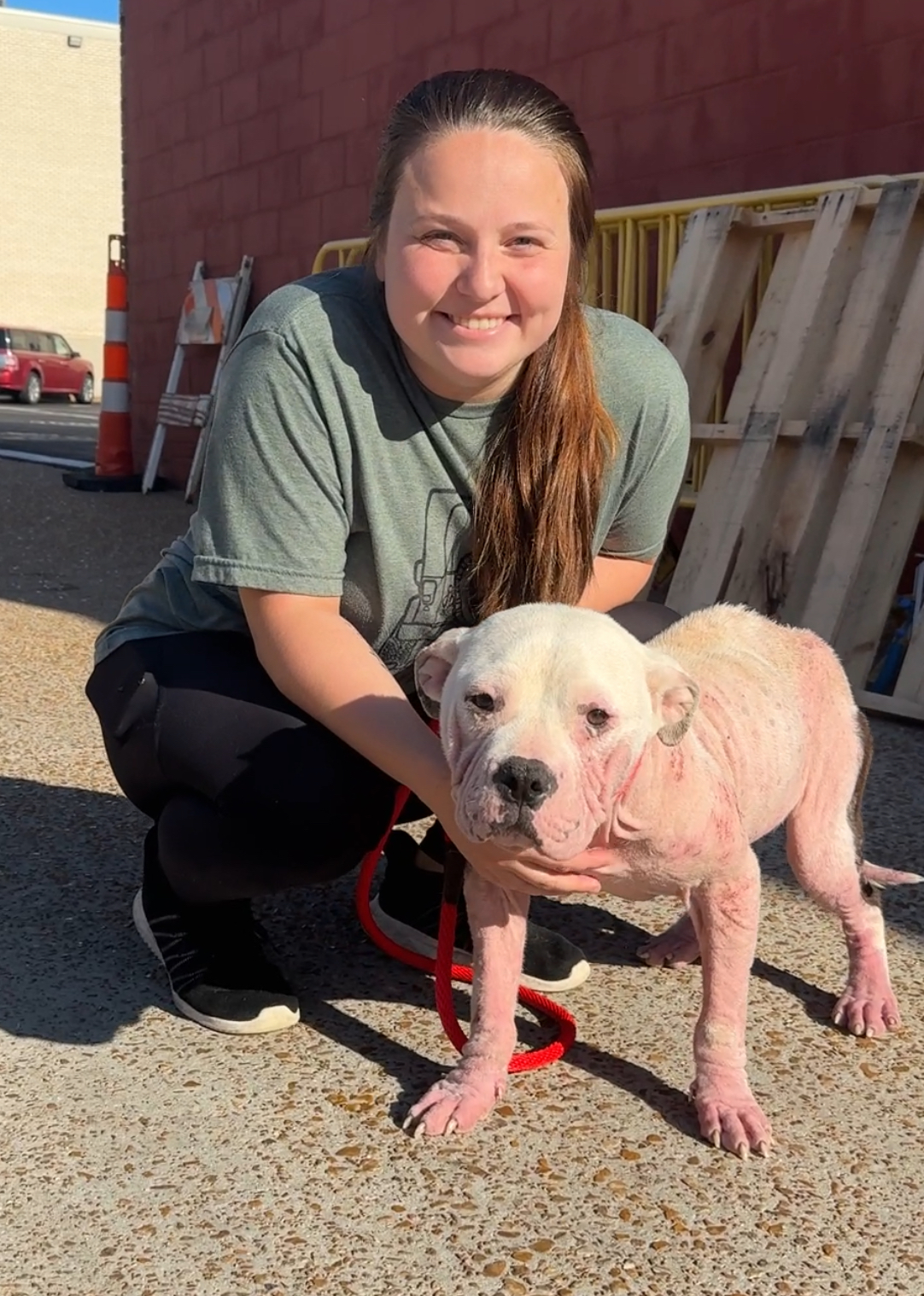 woman and a stray dog