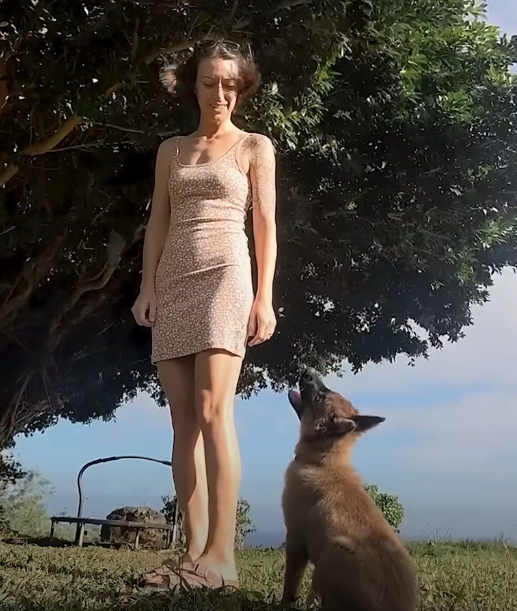 woman and brownish dog