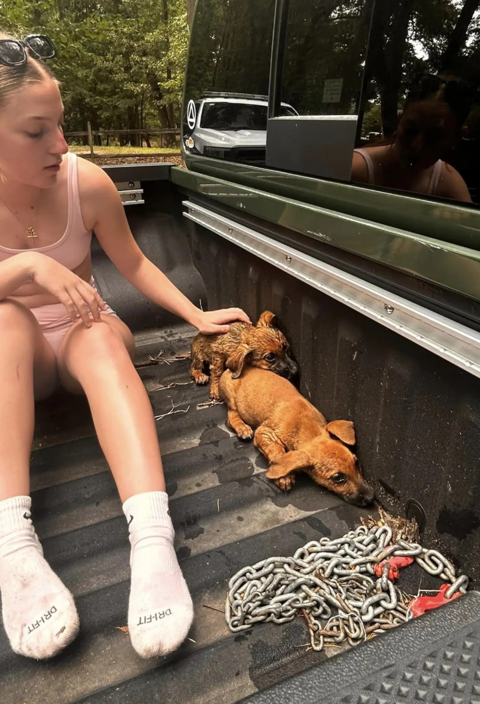 woman and dogs in pickup