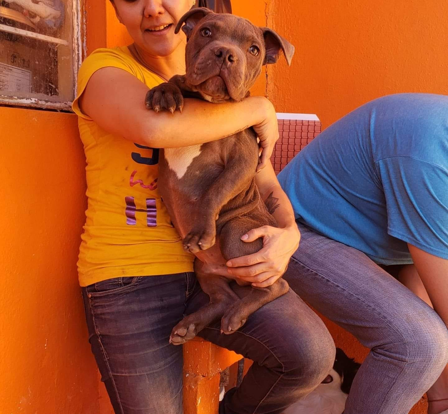 woman holding dog in arms