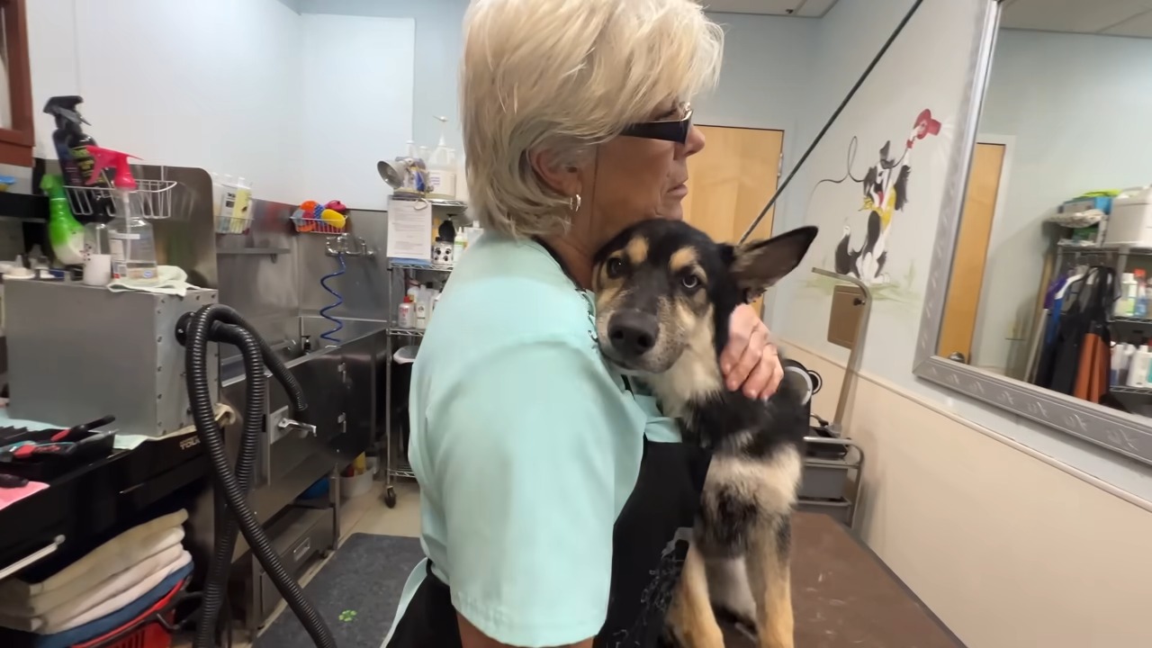 woman hugging the dog