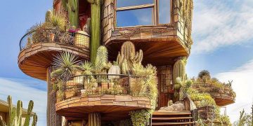 Explore the beautıful cactus house