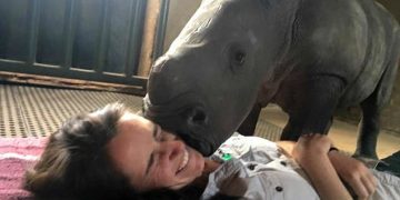 People like you deserve a hug! The orphaned baby rhinoceros has no memory of his mother. He didn’t dare sleep аlone and now he has a home and a family to take good care of him.