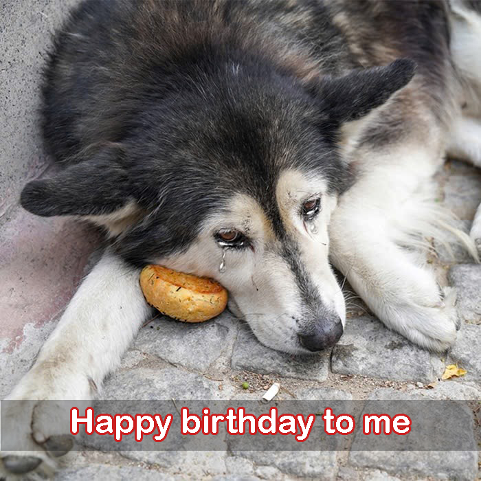 A lonely birthday, hungry and thirsty: I just wish I had a full meal