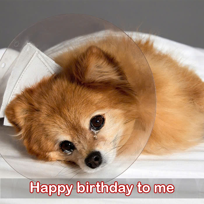 Today is my birthday but I am sick, hope to receive everyone’s prayers