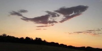 Look: Sky Whale Spotted over Texas