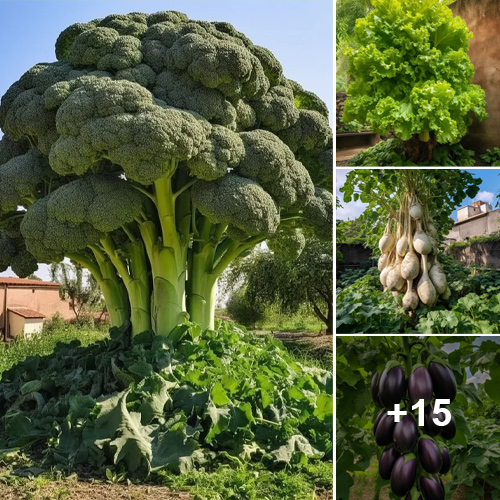 Towering Trees Yield Abundant Traditionally Ground-Growing Fruits and Vegetablesetables