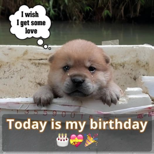 Today is my birthday but I am very sad because no one sent me birthday wishes