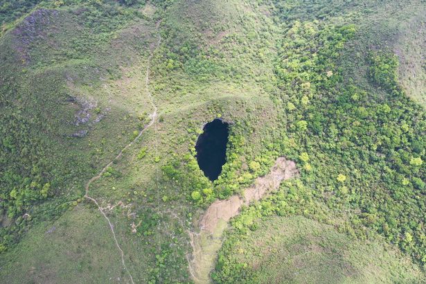 Inside massive sinkhole with ancient forest that can host undiscovered species