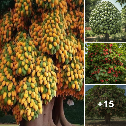 High-Yield Trees Transform Ground-Grown Fruits and Vegetables, Resulting in Abundant Harvests