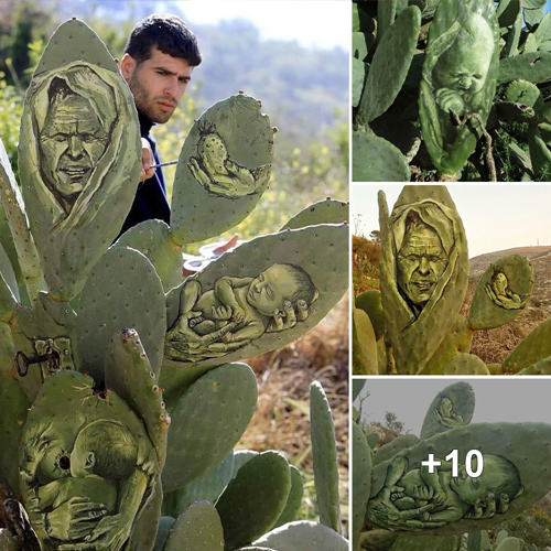 Cactus as a new canvas for beautiful Palestinian art