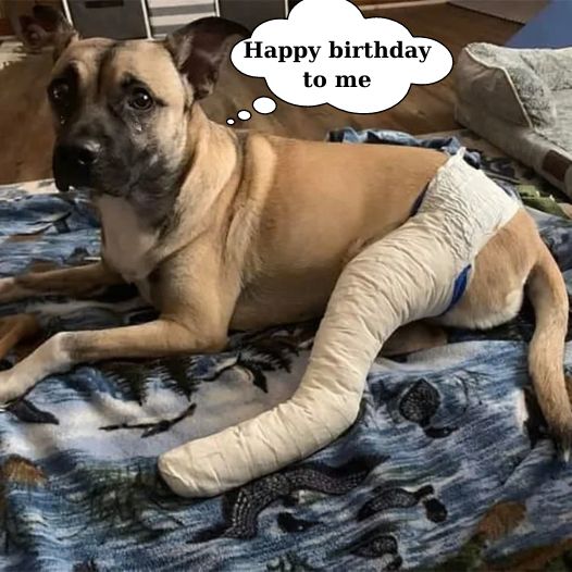 I have to bandage my leg on my birthday, hope to receive good wishes from everyone