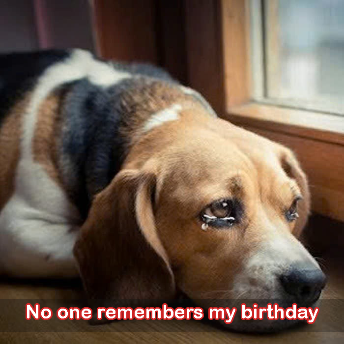 Today is my birthday but no one in my family remembers it, I feel very sad