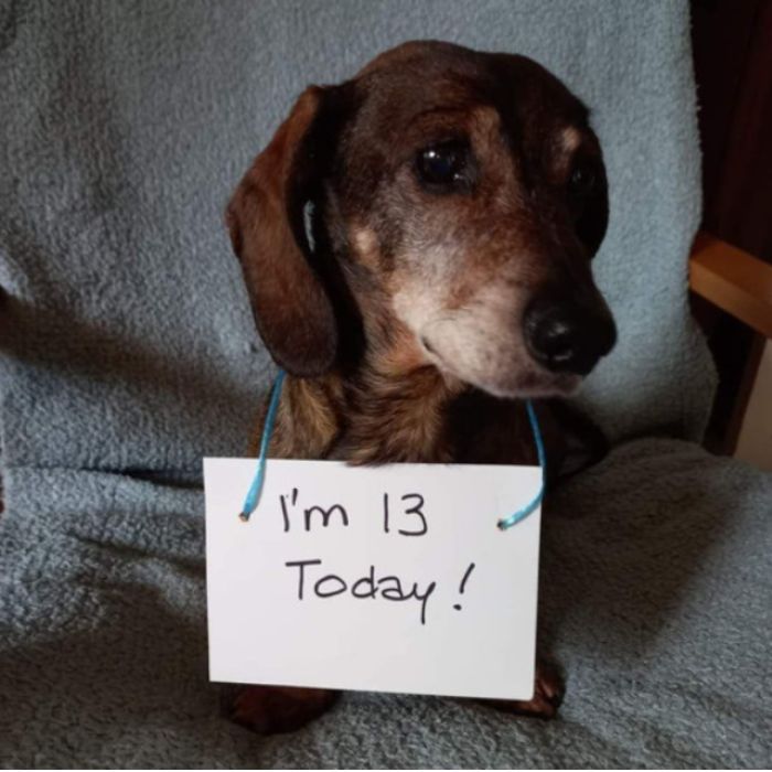 Today is my 13th birthday but I haven’t received any birthday wishes yet