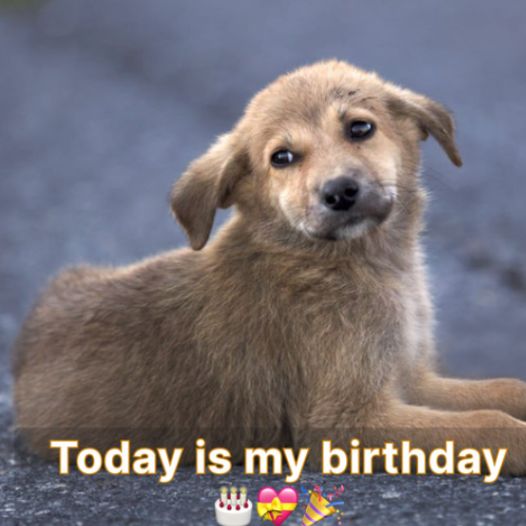 Today is my birthday but also the day I was abandoned, hope to receive everyone’s love