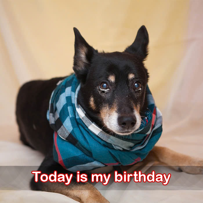 Today is my birthday but I am sad because no one remembers it