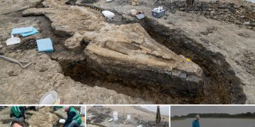 Rare 180-Million-Year-Old ‘Sea Dragon’ Fossil Unearthed in UK Lagoon Drainage