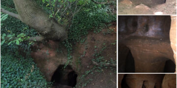 Explorer left speechless after stumbling upon ‘Knights Templar’ cave under a tree