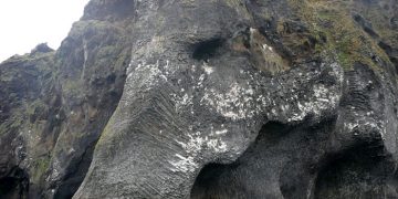 Giant Sea Elephant Emerges From the Ocean in Iceland