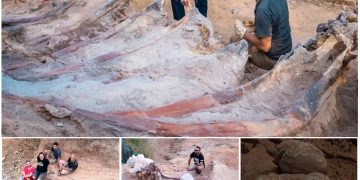 Man Finds Skeleton in His Backyard – Turns Out It’s the Largest Dinosaur Ever Found in Europe