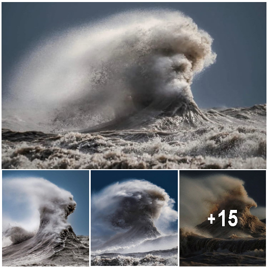 Nature photographer captures incredible image of a crashing wave that looks like a human face