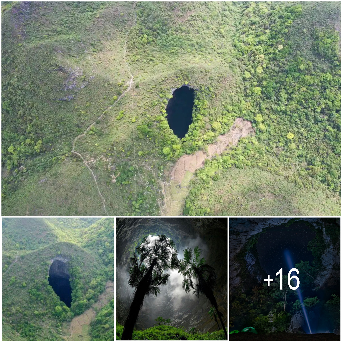 Scientists Discover Giant Sinkhole With Primeval ‘Lost World’ Inside