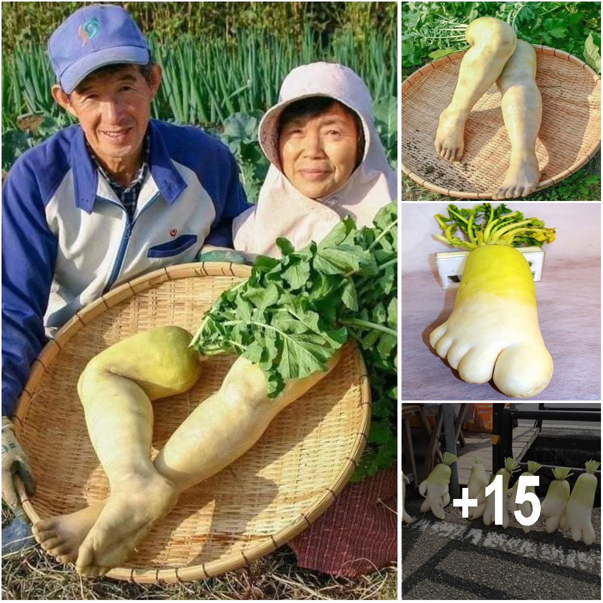 The Most Unusual Vegetable Resembling a Human Foot in the World