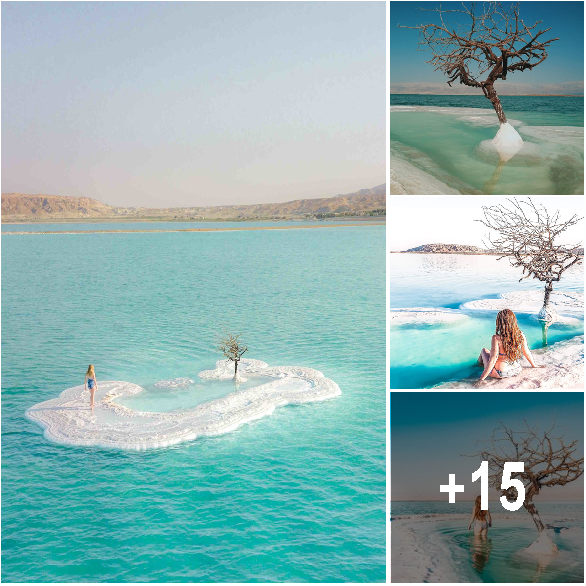 “Tree of Life” Grows on Salt Island in the Middle of the Dead Sea