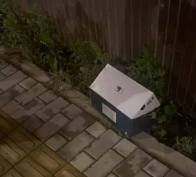 a cardboard box on the sidewalk