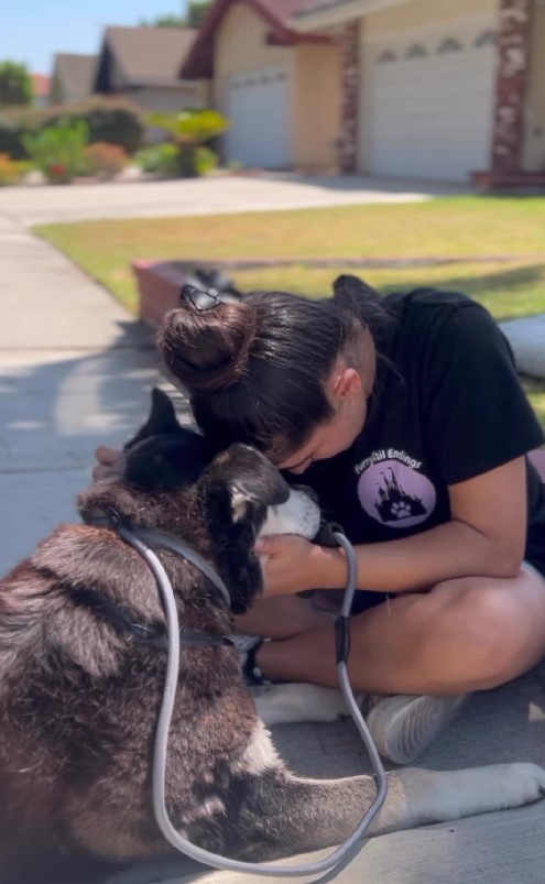 a little girl is sitting on the sidewalk with her dog in her arms