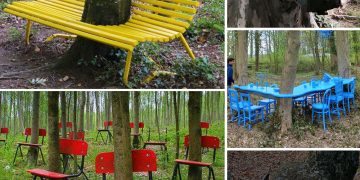 The Mystique Of Nature’s Attraction: Chairs Miraculously Intertwined With Trees In A Mesmerizing Showcase