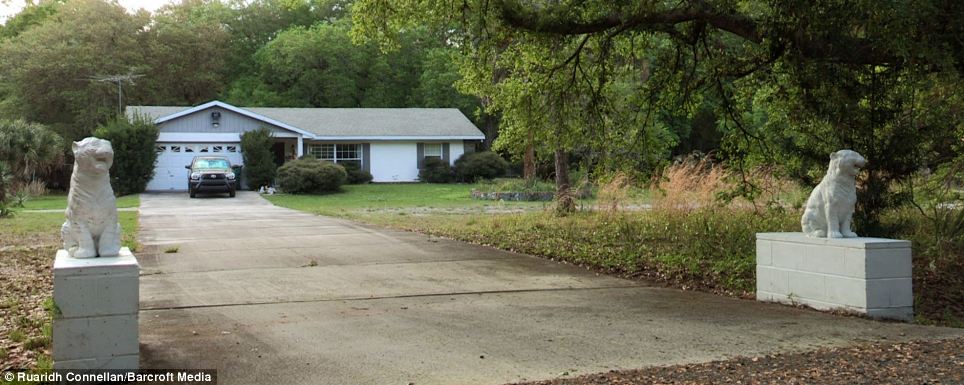 Mr and Mrs Haley's unassuming suburban home in Orlando, Florida, where the tigers live