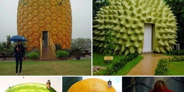 Whimsical Fruit-Shaped Homes: Unveiling the Enchanting Abodes of Imagination