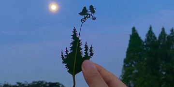 Dancing Trees: Nature’s Mesmerizing Spectacle Of Forests In Graceful Motion