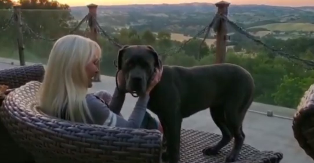 blonde girl and her dog