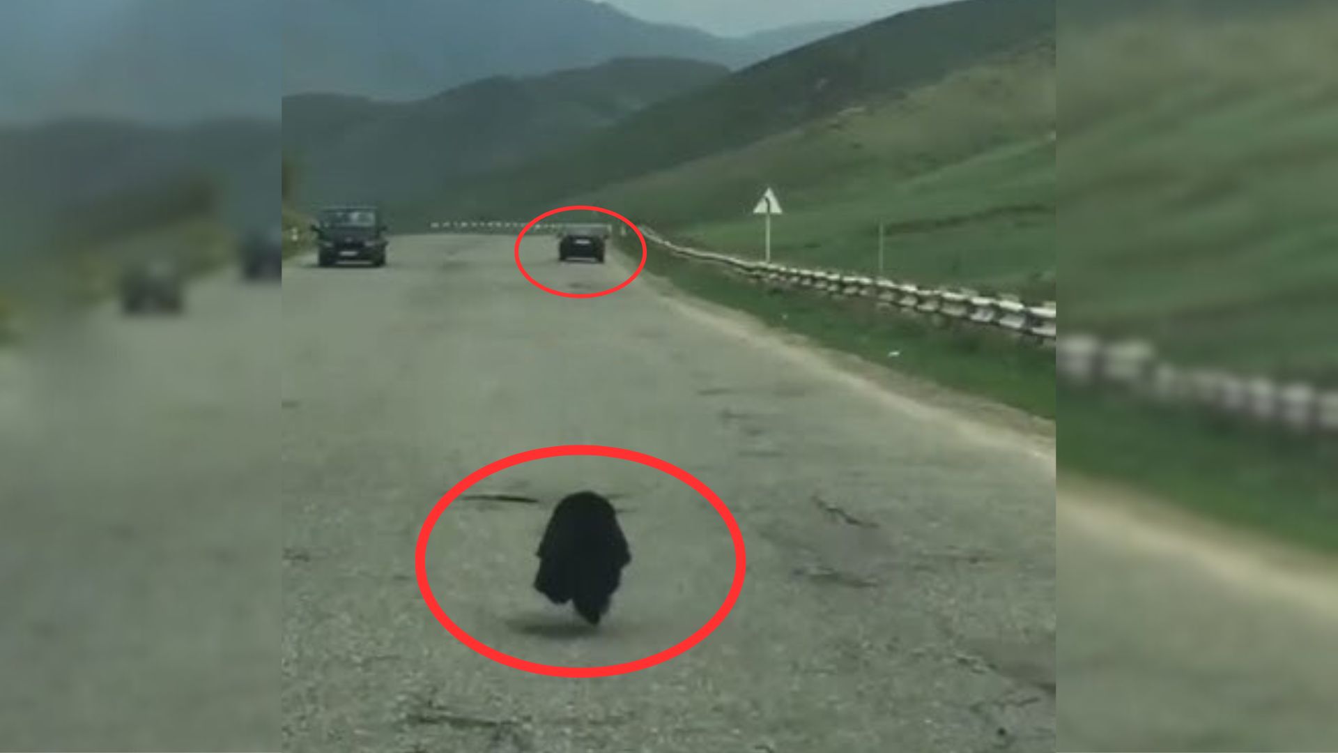 Heartbroken Pup Keeps Chasing Her Owner’s Car After Being Cruelly Abandoned In A Deserted Area