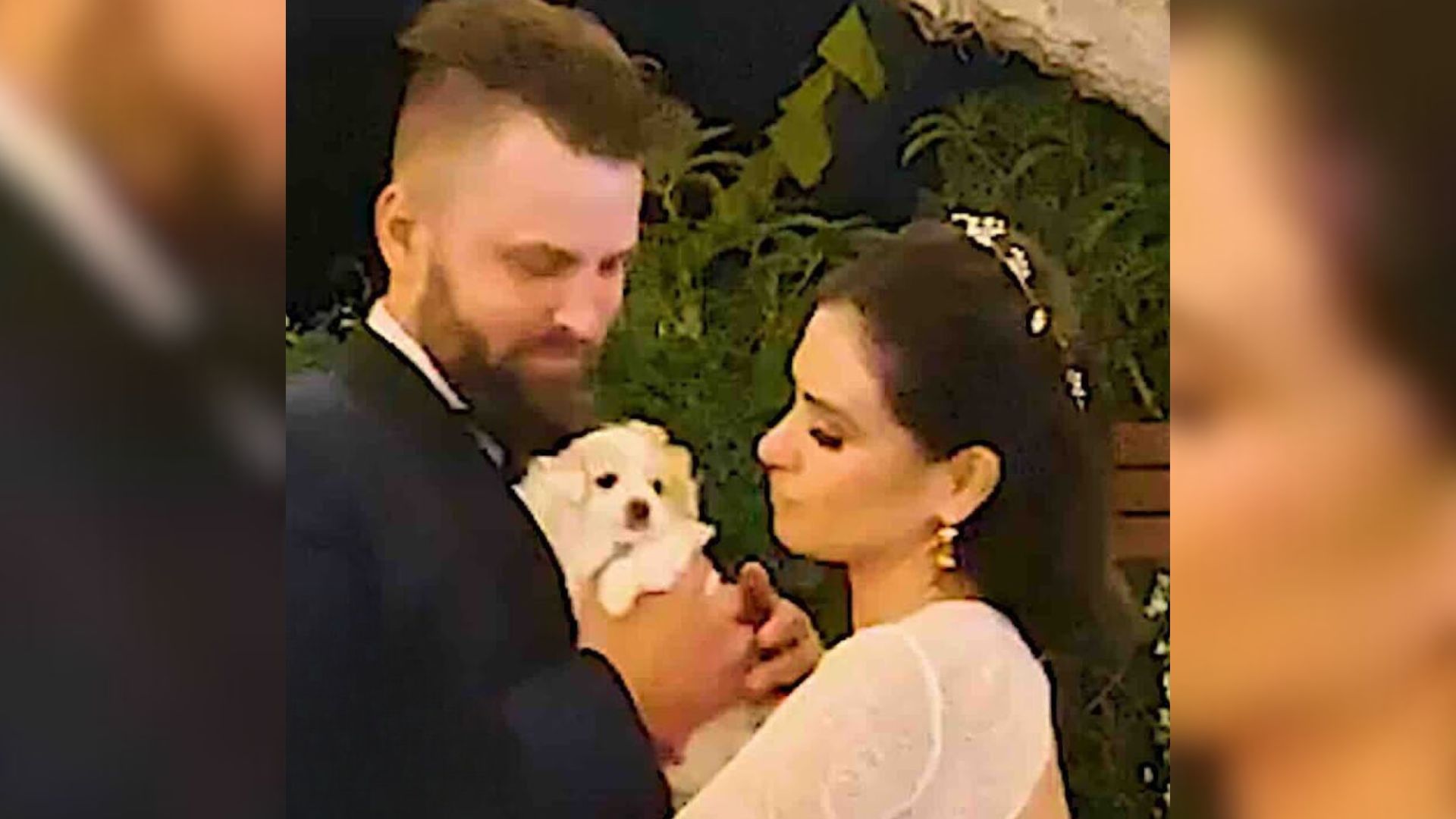 Couple Agrees To Foster 4 Pups Right Before Their Wedding, Then Includes Them In The Ceremony