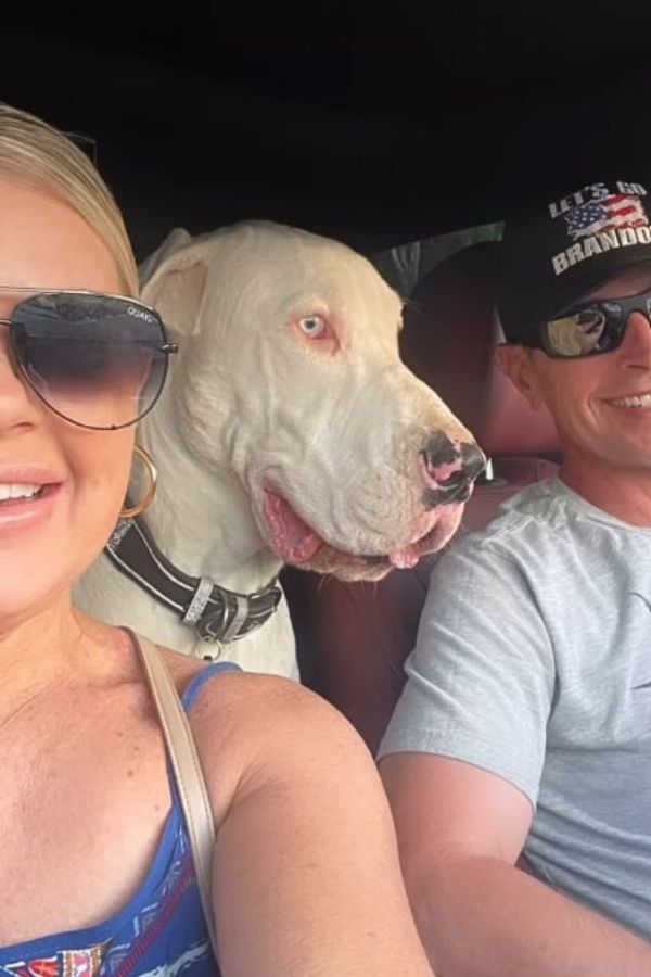 couple taking selfie with dog in the car