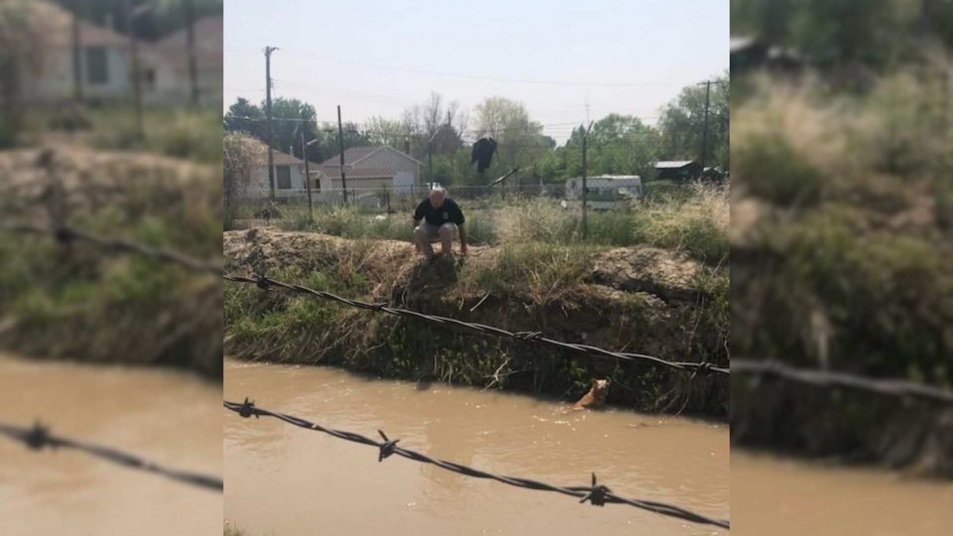 Pup Was Stuck And Struggling In The Canal But Then Kind People Rushed To Her Rescue