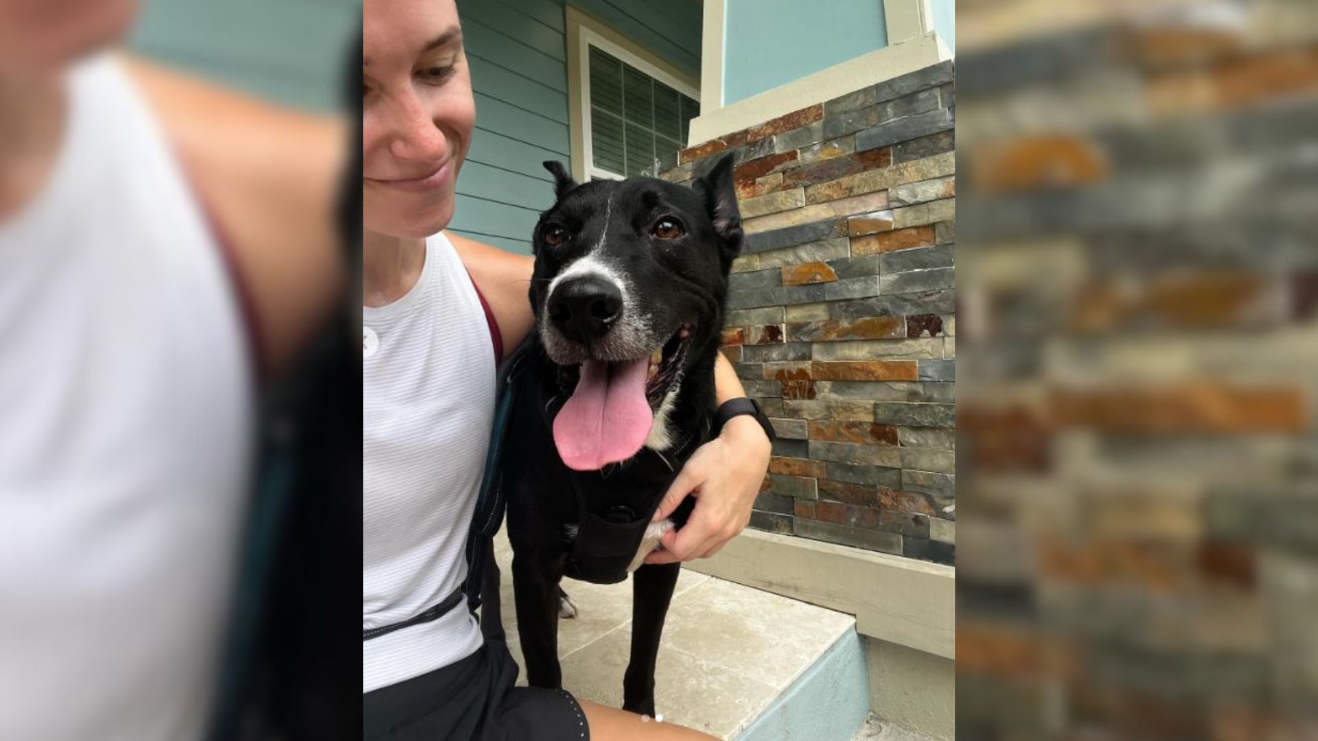 Dog Has The Happiest Reaction When He Goes Running And Steals Everyone’s Hearts At Run Club