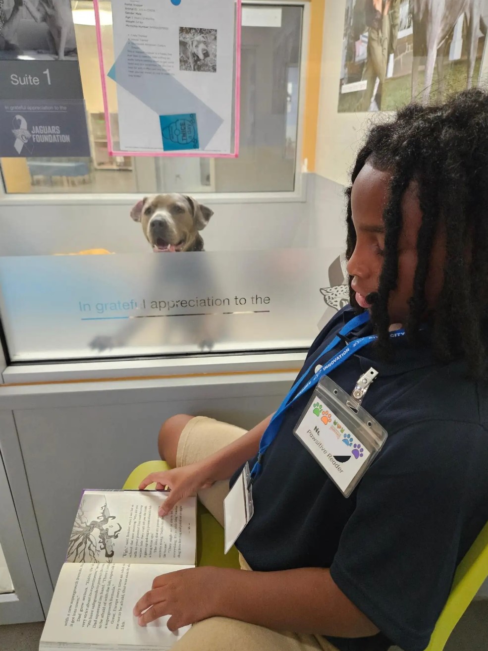 dog looking behind the glass at little boy with book