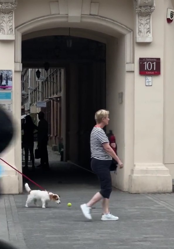 dog on leash chasing a tennis ball