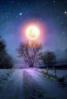 Phần này có thể chứa: the moon is shining brightly in the night sky over a snowy road with trees on both sides