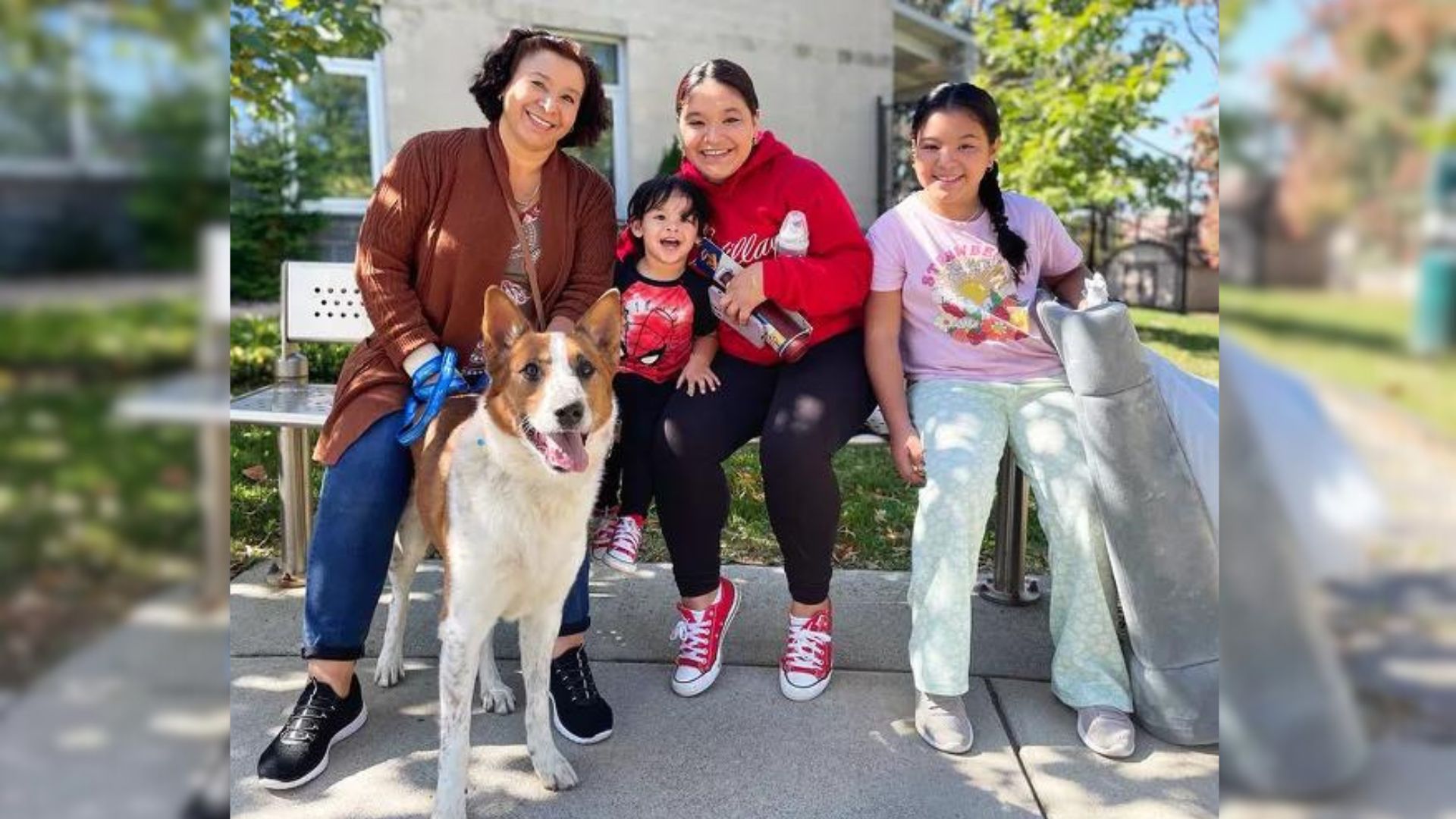 Family Who Decided To Adopt A Dog Were Shocked By What Who They Saw In The Shelter