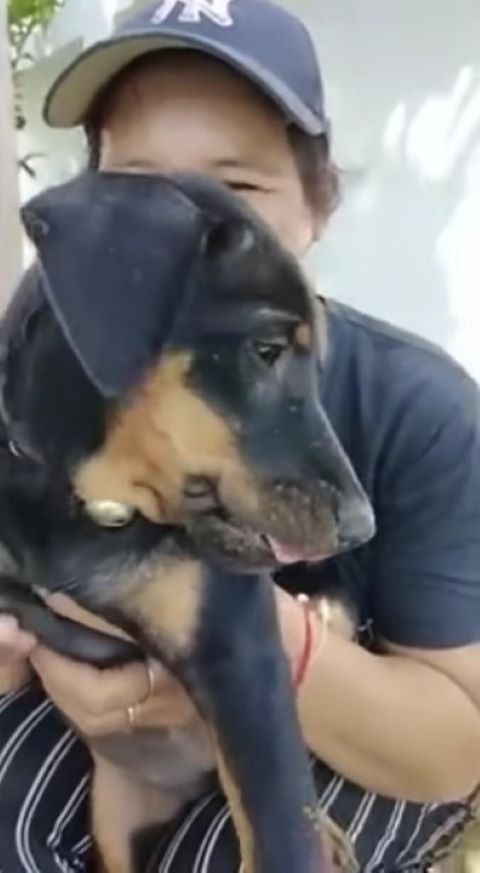 farmer holding a puppy