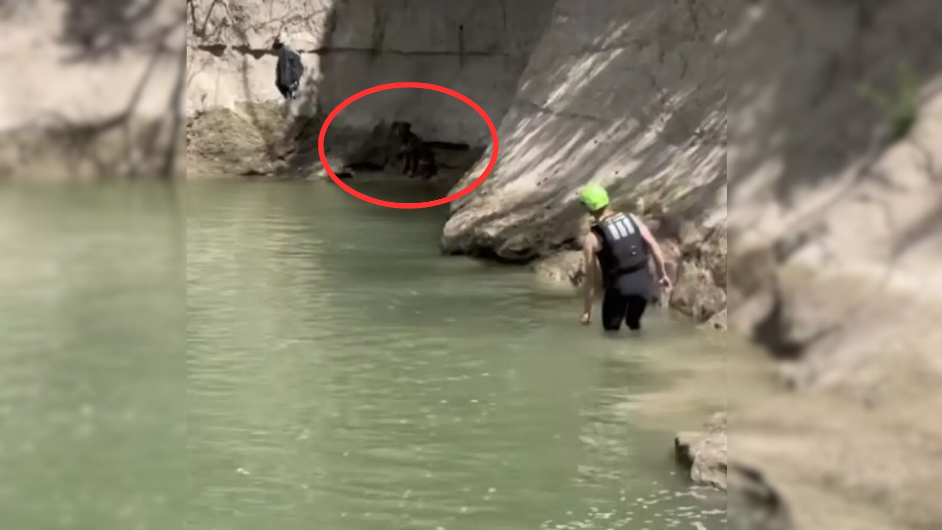 Golfers Immediately Left The Course When They Noticed Something Furry In Nearby Creek