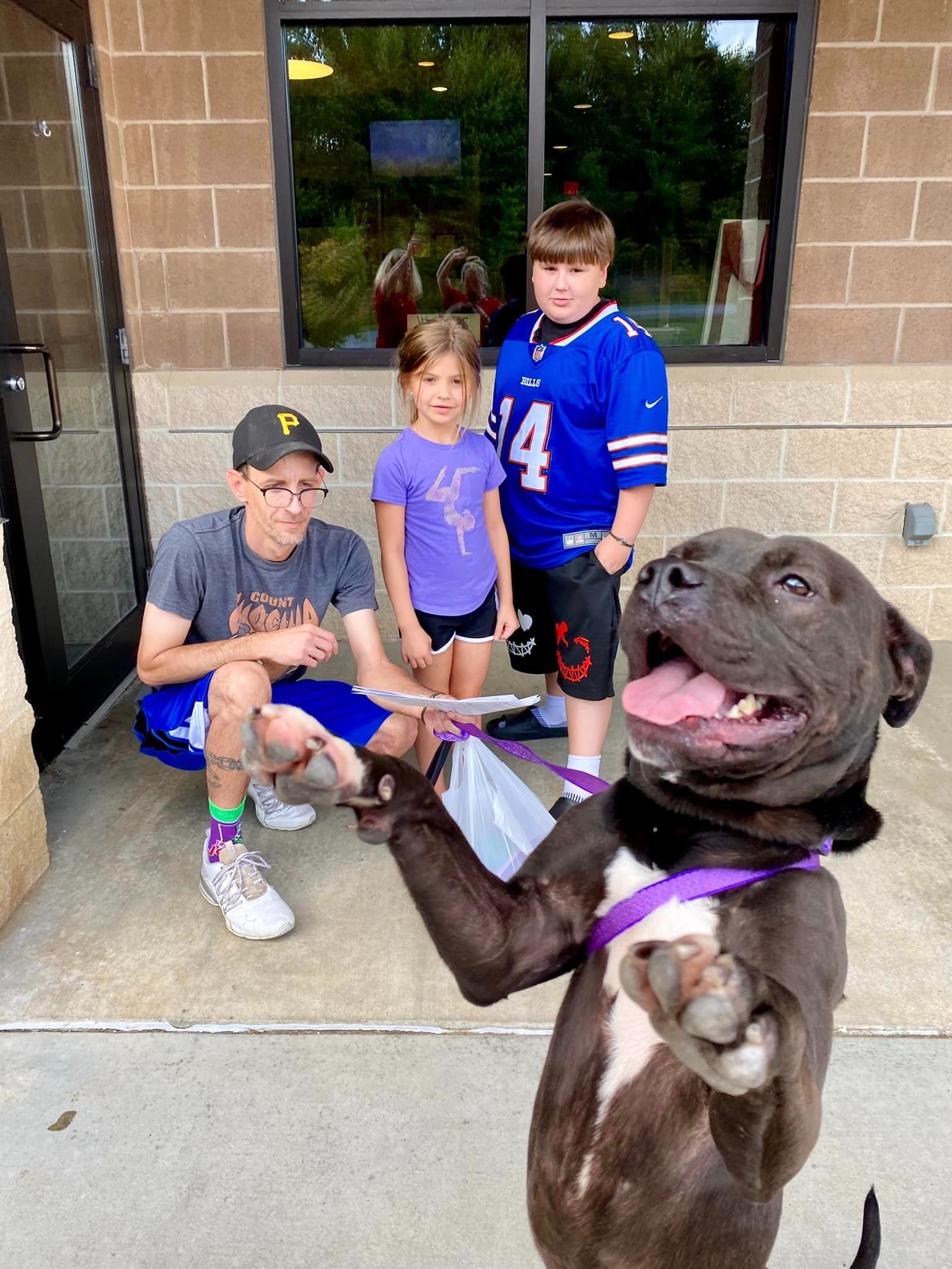 happy dog with family