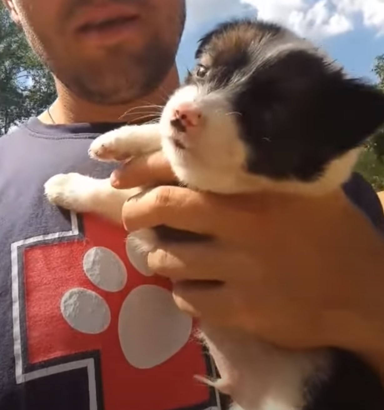 happy puppy in man's hand